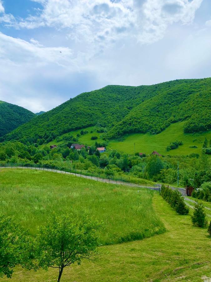 Rustic Cottage Sibiu Ngoại thất bức ảnh